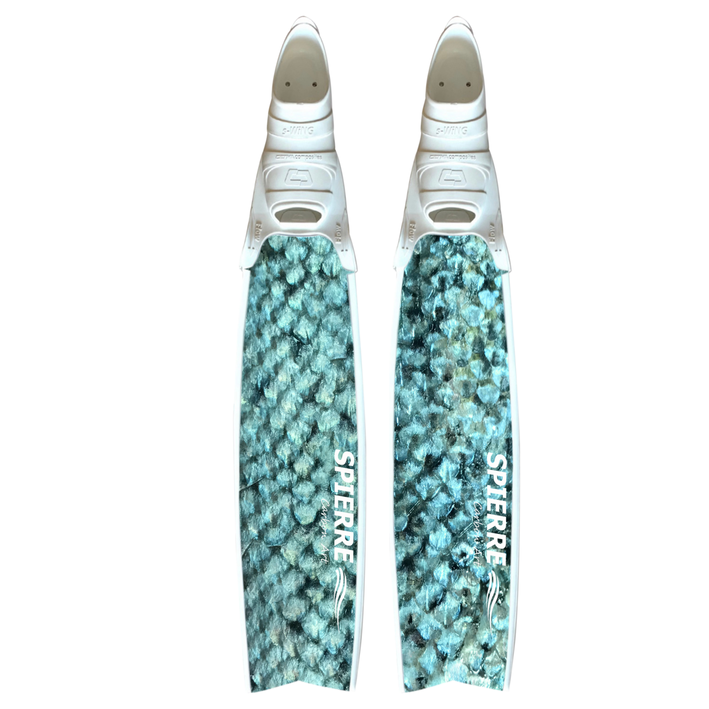 Fish Scale