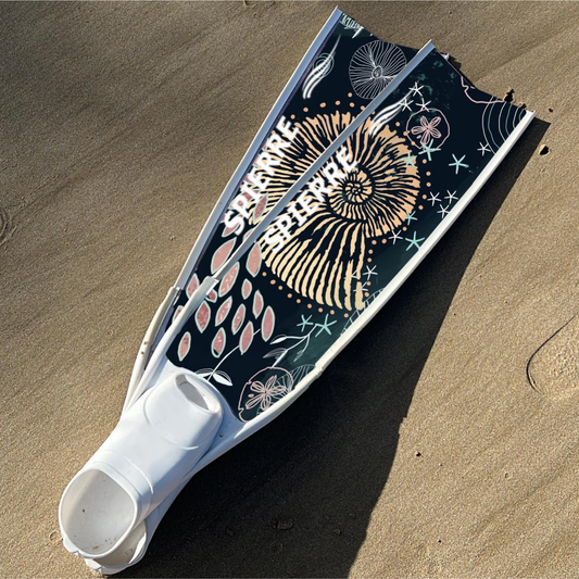 Nautilus Dreams