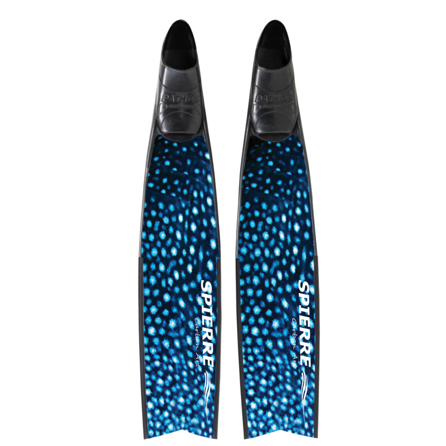 Whale Shark