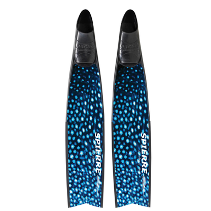 Whale Shark