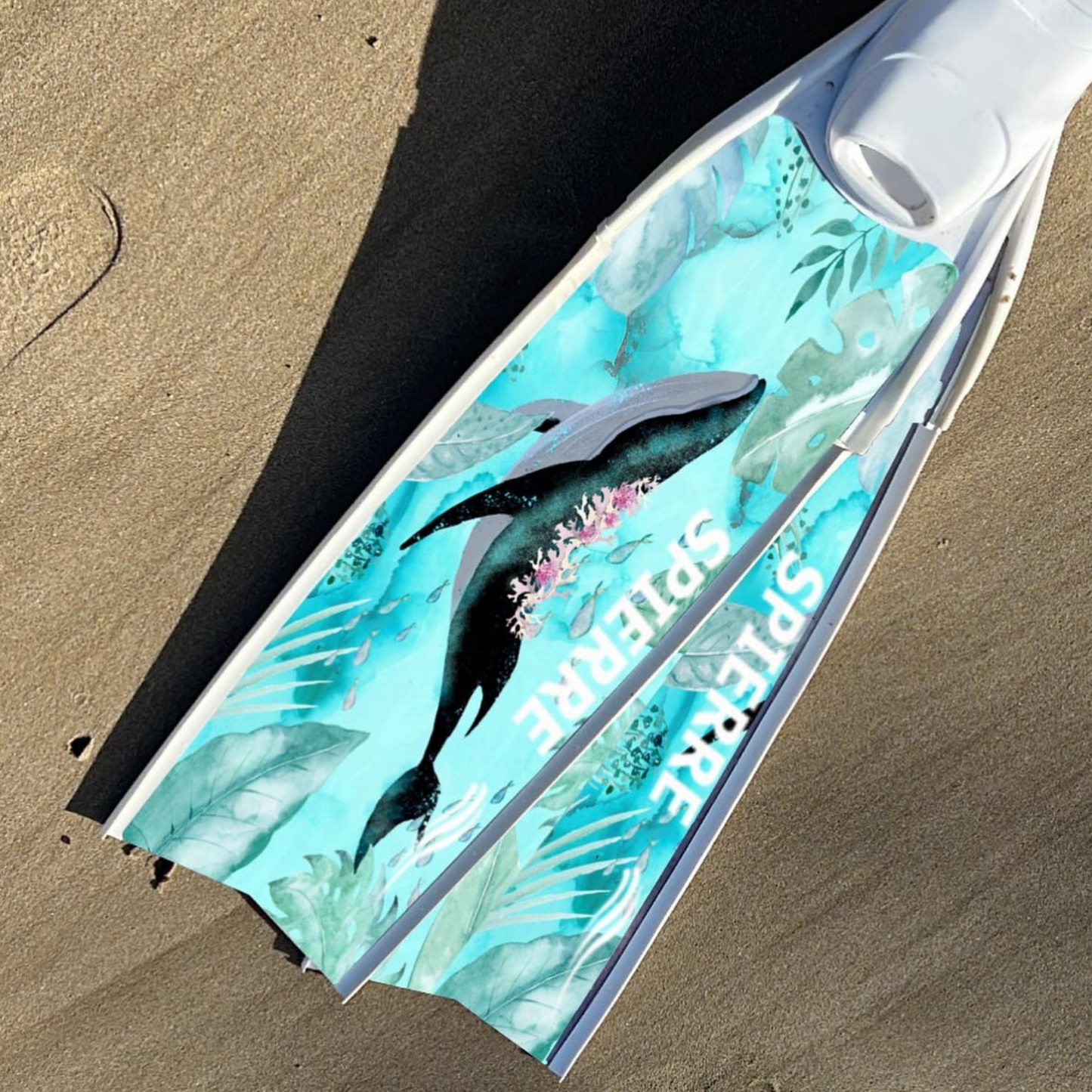 Whale Song