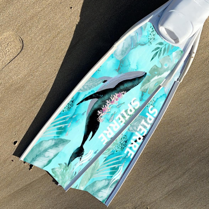 Whale Song